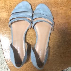 American eagle flats